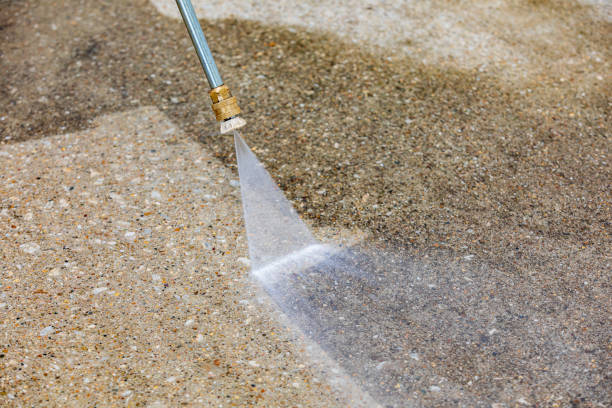 Best Animal Enclosure Cleaning  in Genesee, CO